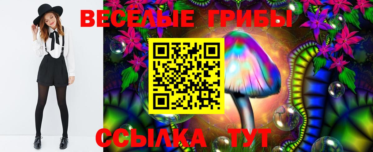Псилоцибиновые грибы ЛСД  Вход с VPN  Псилоцибиновые грибы Psilocybe  Коммунар 