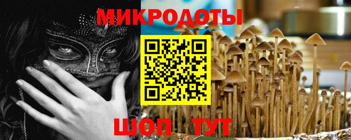 Псилоцибиновые грибы прущие грибы Коммунар